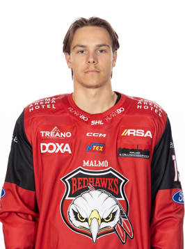 Malmös Noah Schalin