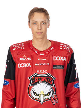 Malmös William von Barnekow