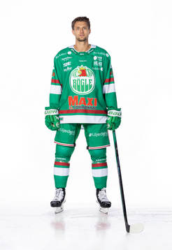 Rögles Daniel Zaar