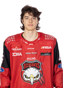 Malmös Dominik Badinka