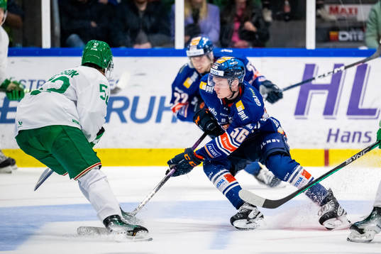 Växjös Vilmer Grundström