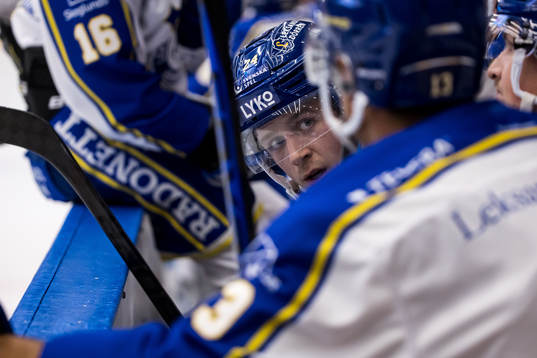Leksands Arvid Eljas