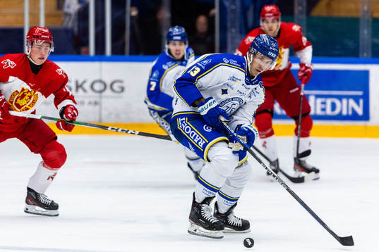 Leksands Jon Knuts