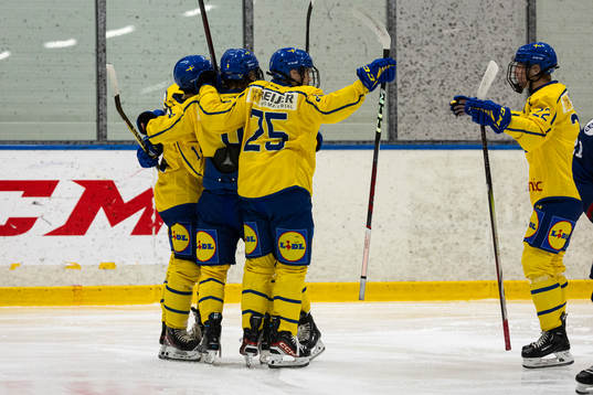 Sveriges Sascha Boumedienne, Viktor Klingsell, Anton