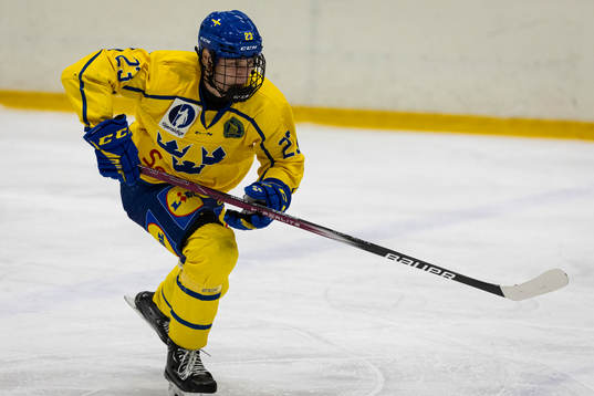 Sveriges Noel Skarby
