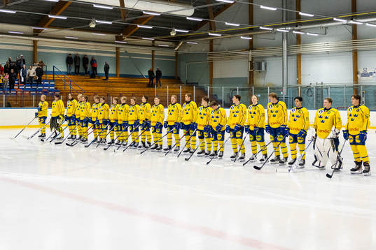 Sveriges lag i lineup
