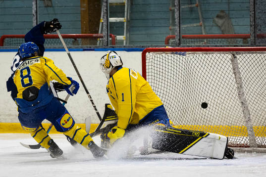 Finlands Urho Mattila gör 1-1 målet