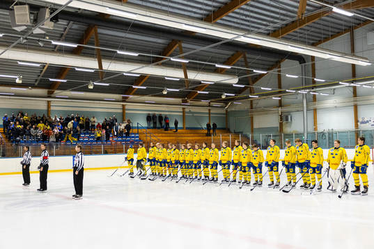 Sveriges lag i lineup