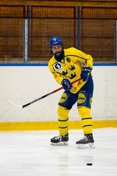 Sveriges Jakob Wozniak