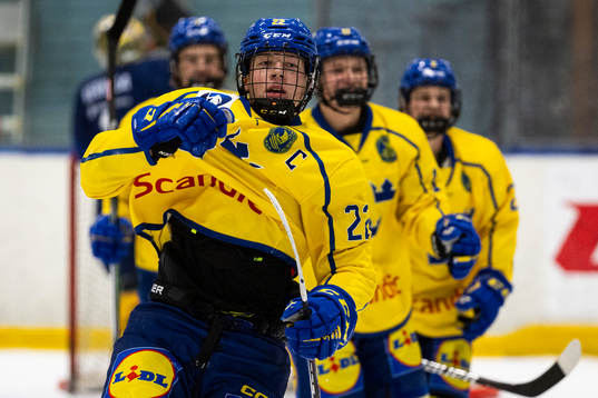 Sveriges Anton Gästrin jublar