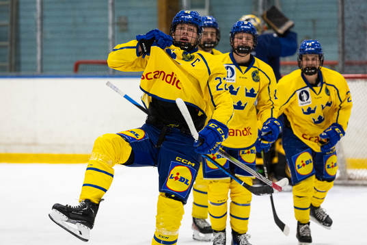 Sveriges Anton Gästrin jublar