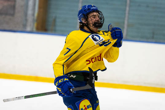 Sveriges Joe Wahlund jublar