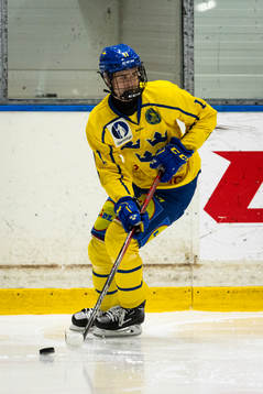 Sveriges Jakob Wozniak