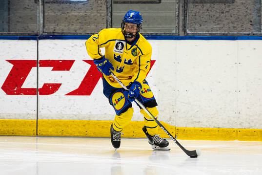 Sveriges Hugo Hallin