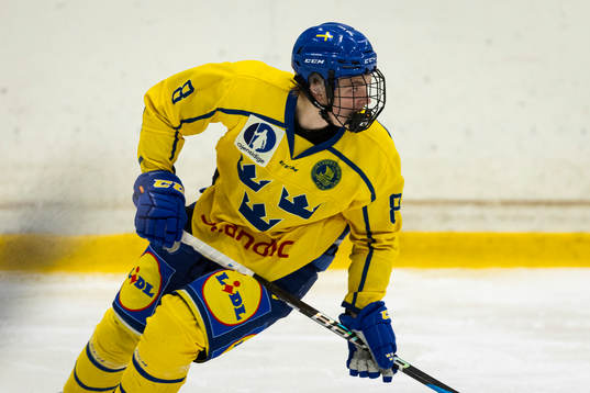 Sveriges Rocky Langvardt