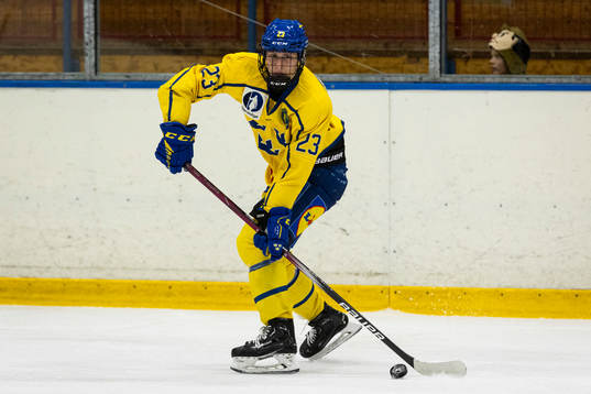 Sveriges Noel Skarby