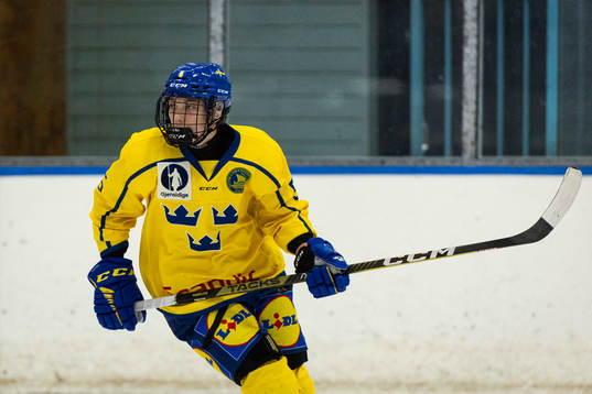 Sveriges Sascha Boumedienne