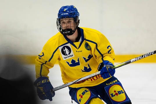 Sveriges Hugo Hallin
