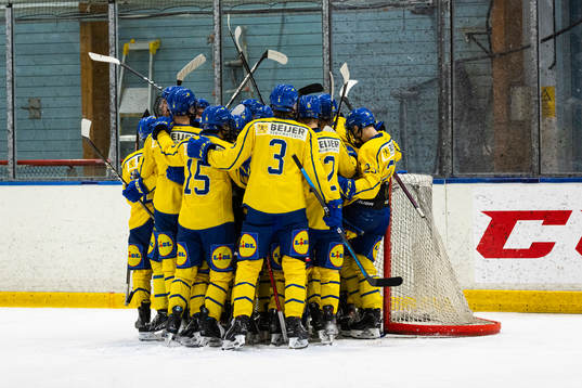 Sveriges spelarna jublar 7-4 seger
