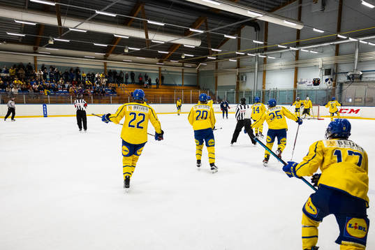 Sveriges spelarna jublar 7-4 seger