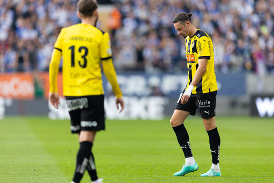 Häckens Amor Layouni  deppar