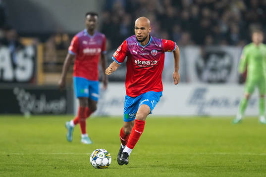 Helsingborgs Sumar Almadjed