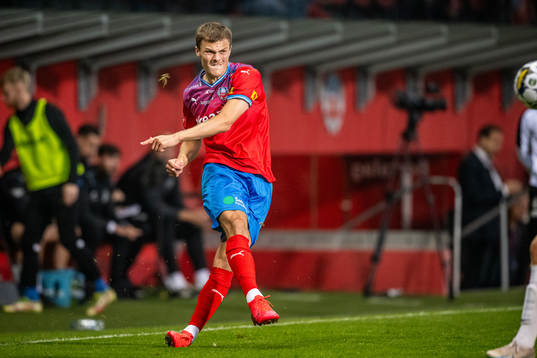Helsingborgs Erik Ring
