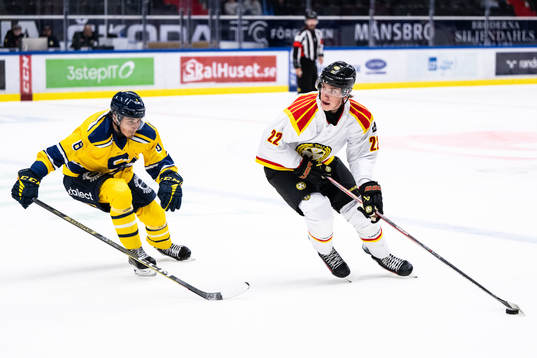 Södertäljes William Wiå ochBrynäs Kasper Larsen