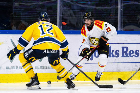 Brynäs Tyler Vesel