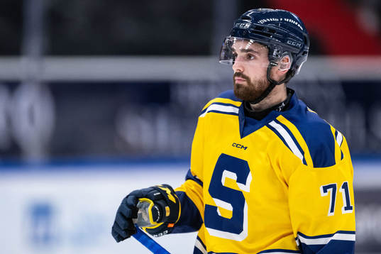 Södertäljes Dominic Turgeon