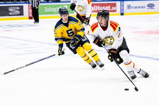 Södertäljes Olle Hilmersson och Brynäs Anton Johannesson