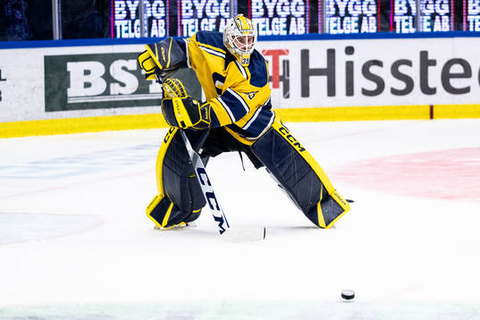 Södertäljes målvakt Tomas Sholl
