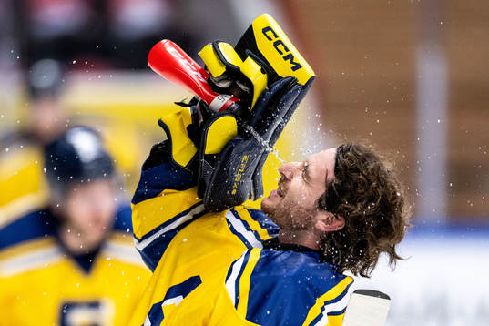 Södertäljes målvakt Tomas Sholl