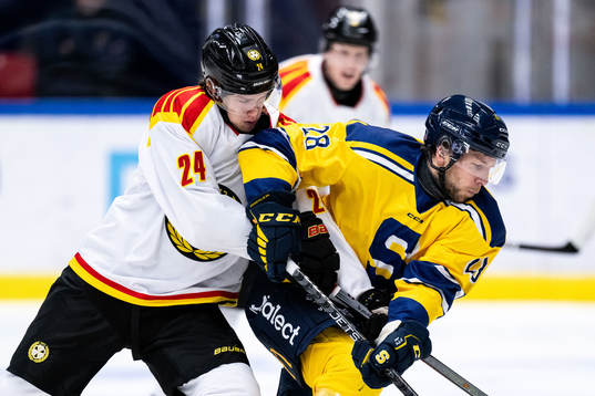 Brynäs Linus Lindblom och Södertäljes Emil Alba