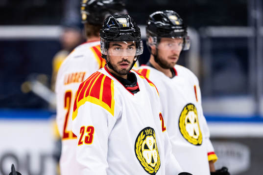 Brynäs Tyler Vesel