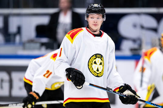 Brynäs Albin Udd