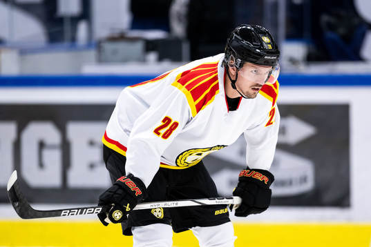 Brynäs Johannes Kinnvall