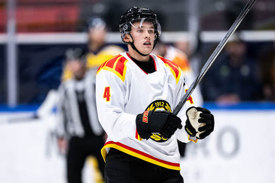Brynäs Theo Lindstein
