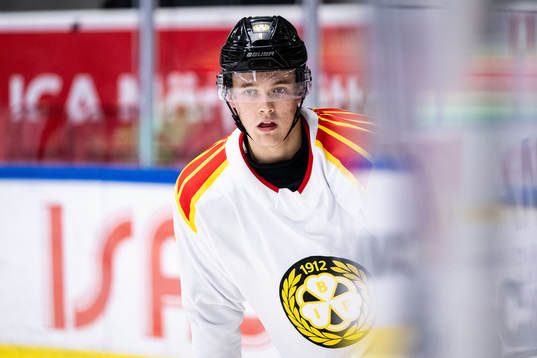 Brynäs Theo Lindstein