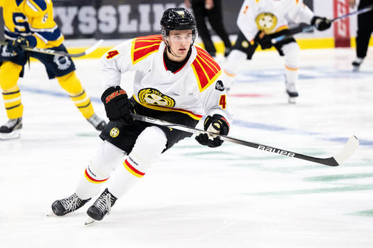 Brynäs Theo Lindstein