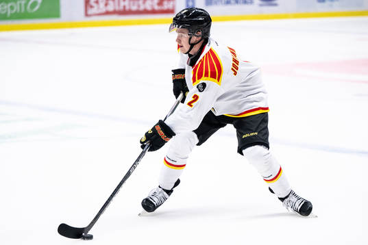 Brynäs Anton Johannesson