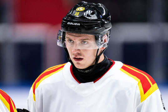 Brynäs Karlis Cukste