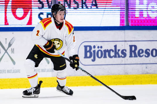 Brynäs Anton Johannesson