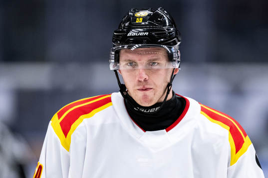 Brynäs Karlis Cukste