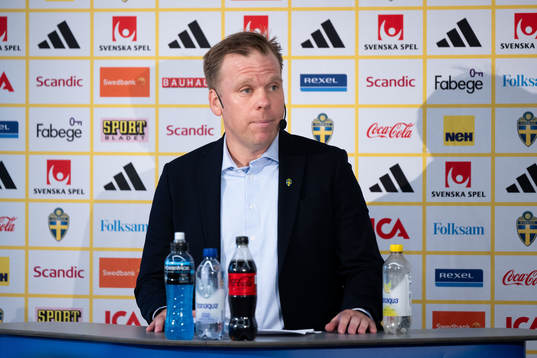 Assistant coach Viktor Eriksson of the Swedish U21 national