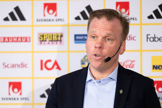 Assistant coach Viktor Eriksson of the Swedish U21 national