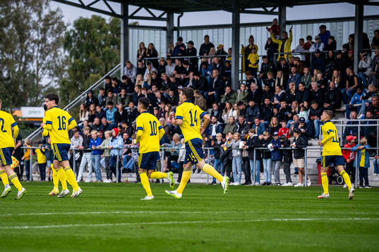 Sveriges spelare jublar framför publiken