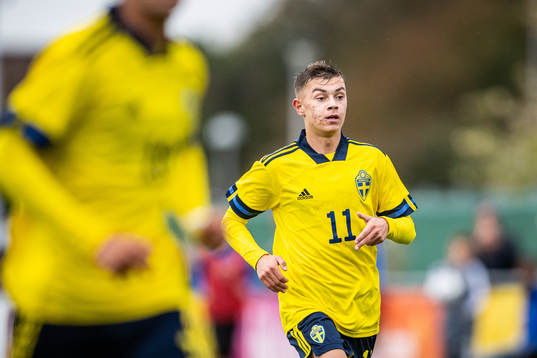 Sveriges Fred Bozicevic