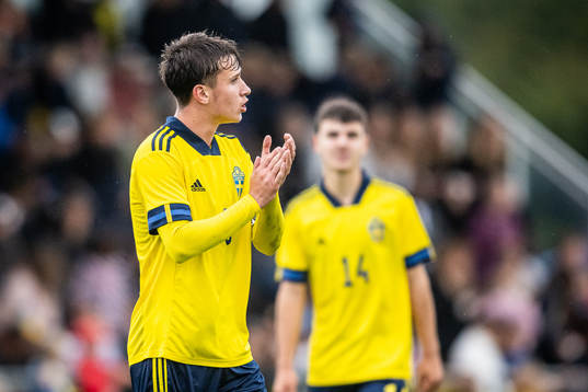 Sveriges Kenan Busuladzic