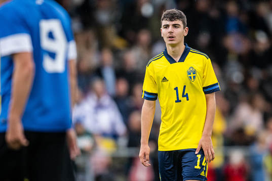 Sveriges Bleon Kurtulus